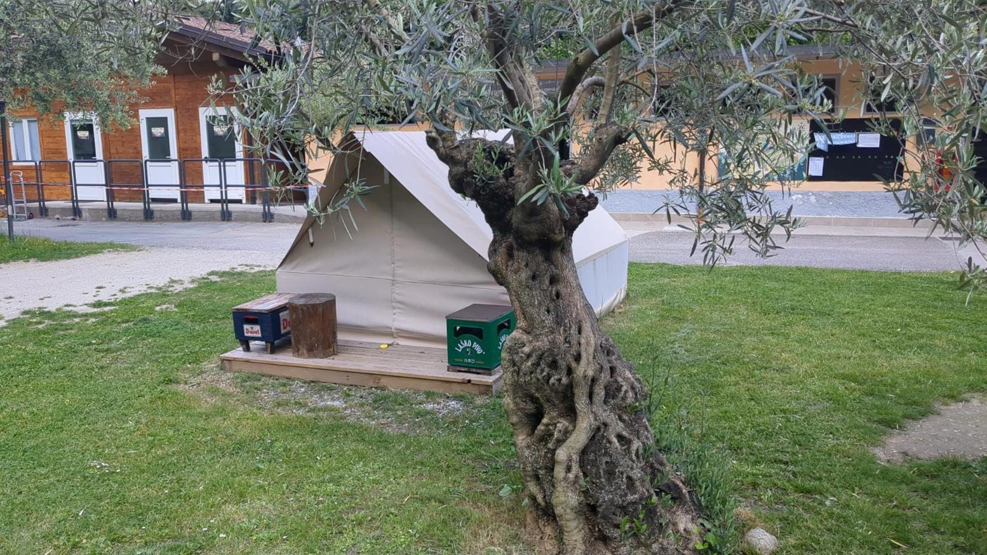 מלון פייטרמורטה Camping Daino מראה חיצוני תמונה